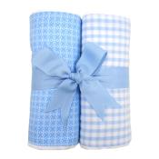 Blue Plane Set of Two Fabric Burps